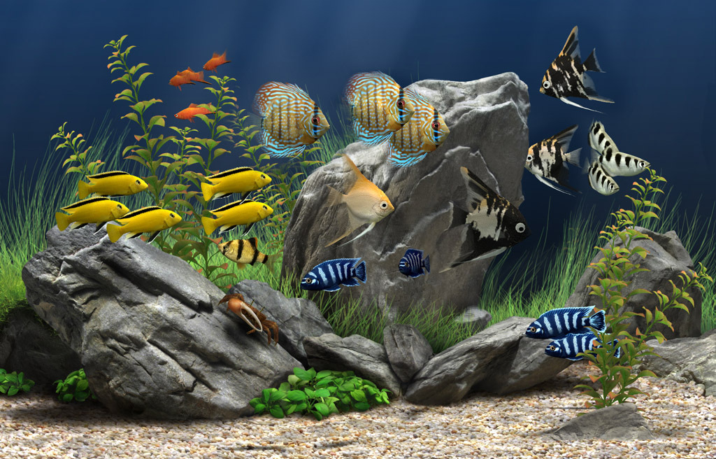 dream aquarium free